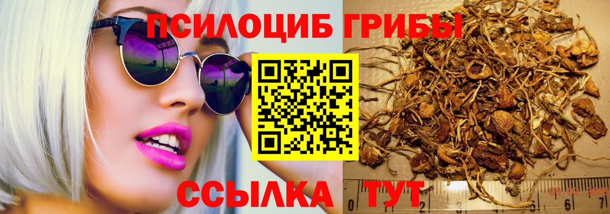 Псилоцибиновые грибы мицелий  Вход с VPN  Псилоцибиновые грибы ЛСД  Ростов-на-Дону 