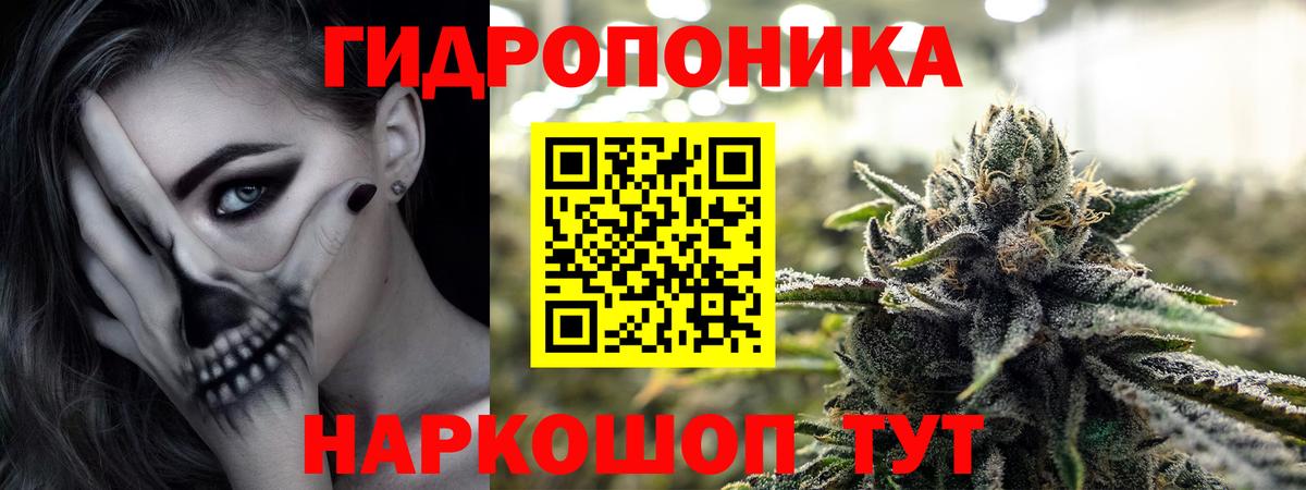 Бошки Шишки SATIVA & INDICA  Шишки марихуана план  Вход с VPN  Ростов-на-Дону  Канабис SATIVA & INDICA  МАРИХУАНА тримм 